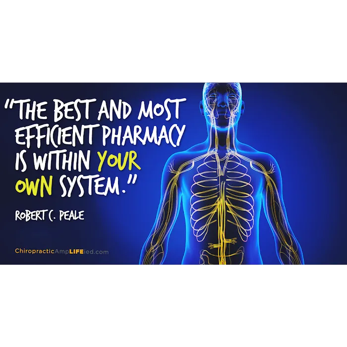 Fitzgibbon Family Chiropractic Picture 2