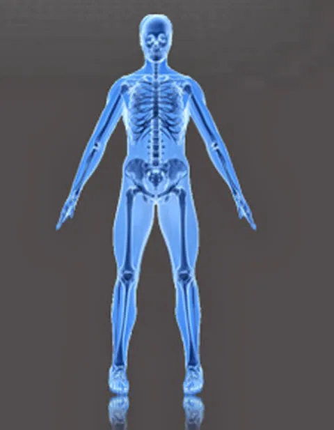 Branchburg Chiropractic Picture 2