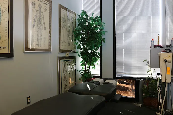Cancellieri Chiropractic Center Picture 1