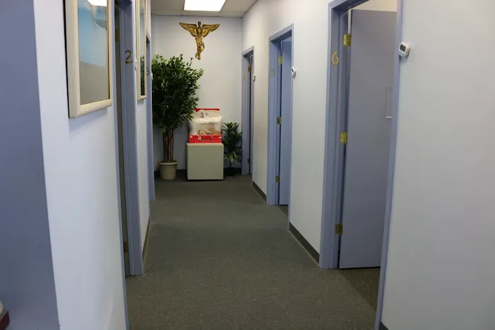Cancellieri Chiropractic Center Picture 4