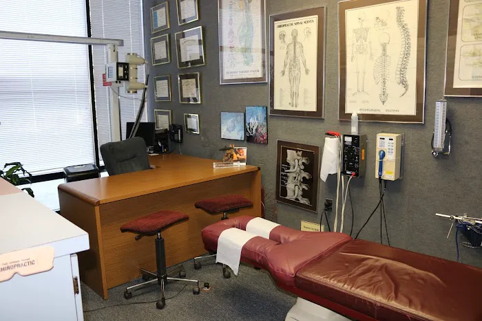 Cancellieri Chiropractic Center Picture 8