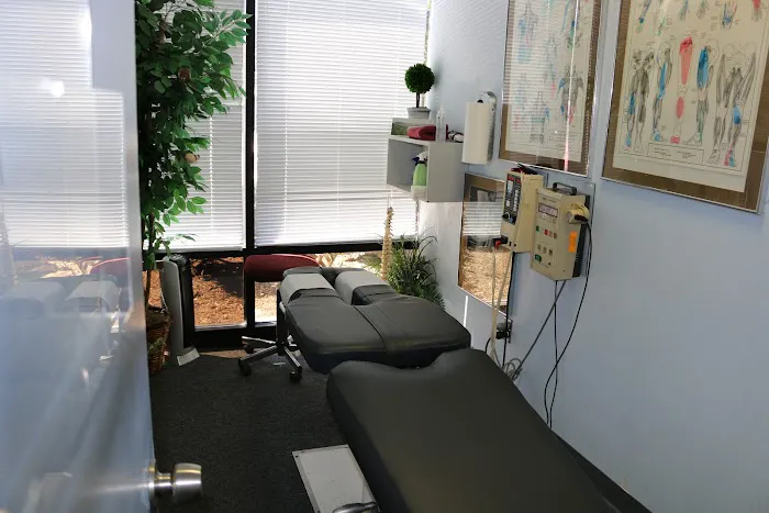 Cancellieri Chiropractic Center Picture 9