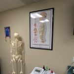 Park Chiropractic & Posture