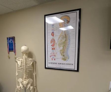 Park Chiropractic & Posture