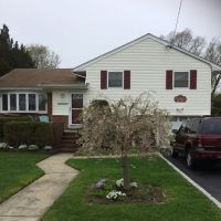 Espinoza Chiropractic ico