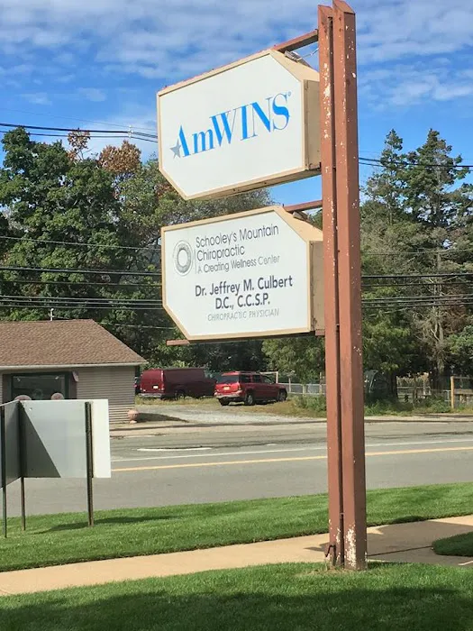 Schooley's Mountain Chiropractic Center Picture 3
