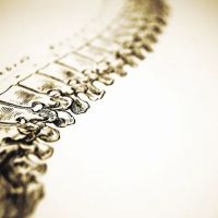 New Brunswick Chiropractic Center ico