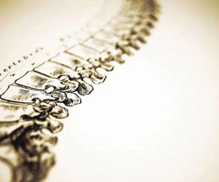 New Brunswick Chiropractic Center
