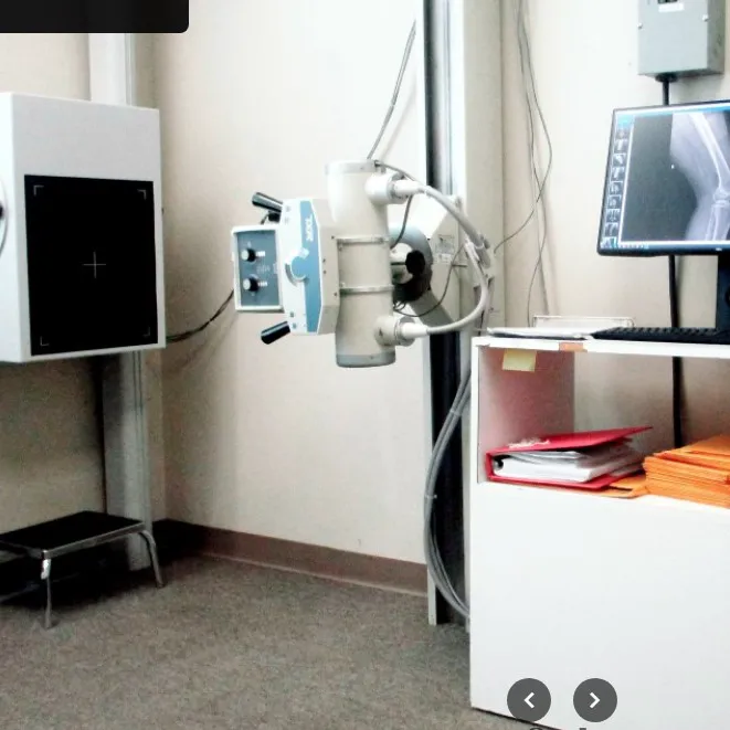 Suffolk Physical Therapy & Chiropractic Picture 5