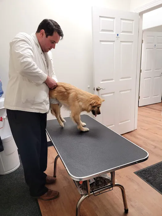 Canine Chiropractic Relief Care Picture 4