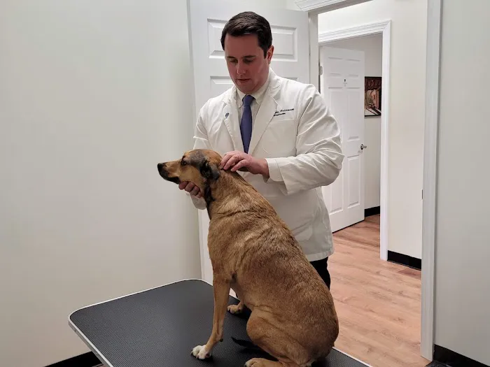 Pain Relief Chiropractic Picture 10