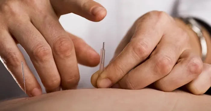 Back To Wellness Chiropractic Picture 1