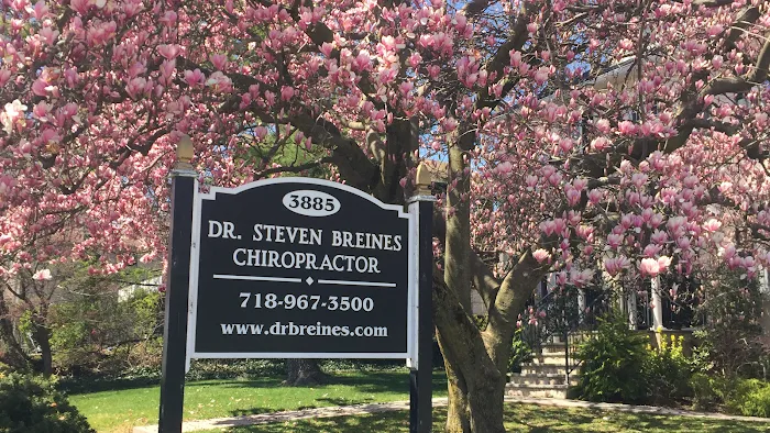Steven Breines, D.C. Picture 3