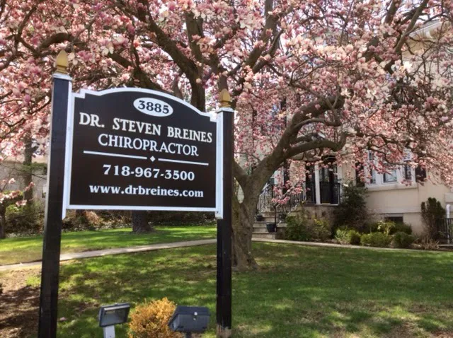 Steven Breines, D.C. Picture 1