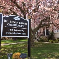 Steven Breines, D.C. ico