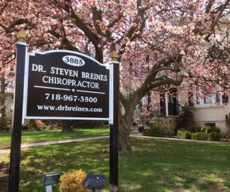 Steven Breines, D.C.