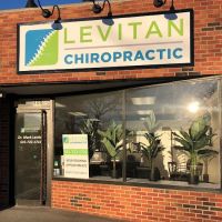 Levitan Chiropractic ico