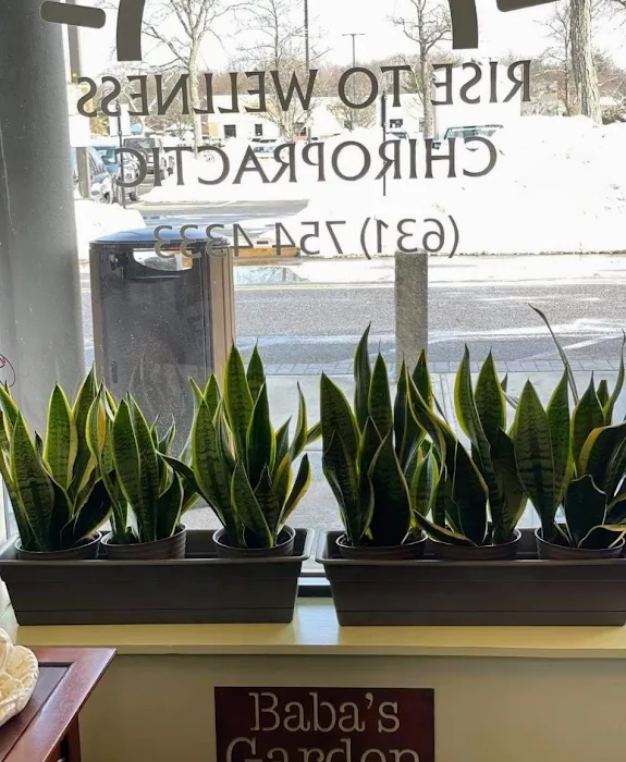 Rise To Wellness Chiropractic Picture 5