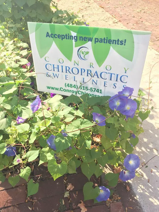 Conroy Chiropractic & Wellness, P.C. Picture 6