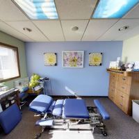 Freedman Chiropractic ico