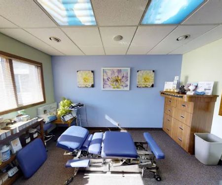 Freedman Chiropractic