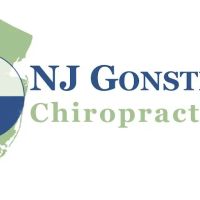 NJ Gonstead Chiropractic ico