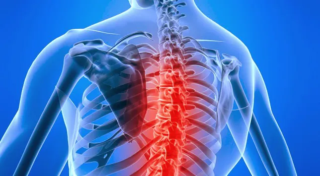 Duddy Chiropractic Picture 1