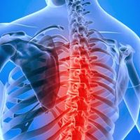 Duddy Chiropractic ico