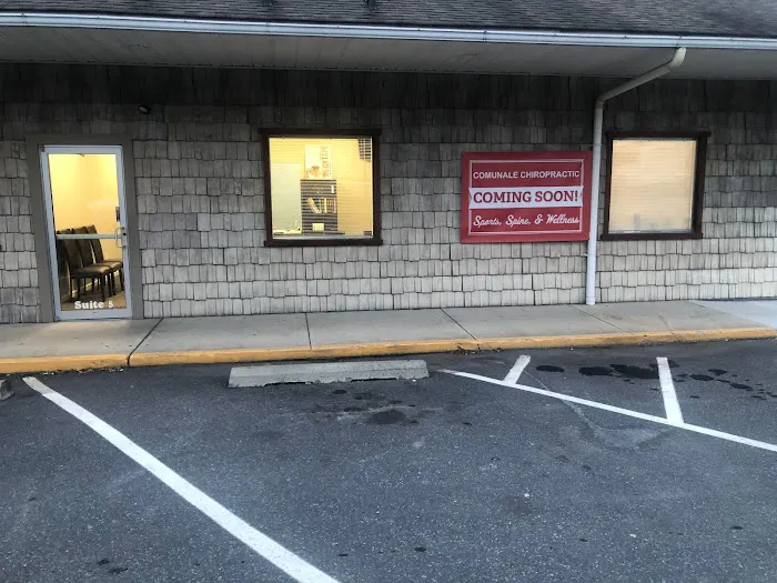 Comunale Chiropractic Picture 2