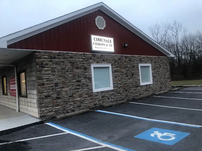 Comunale Chiropractic Picture 3