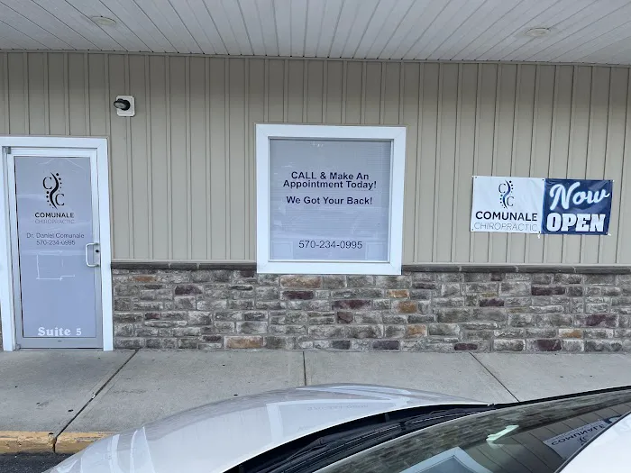 Comunale Chiropractic Picture 4
