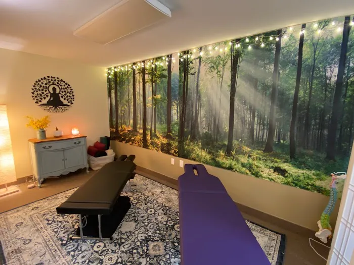 Bodhi Tree Chiropractic Picture 1
