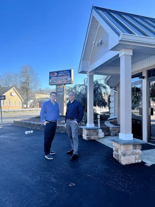 Adelphia Chiropractic Health Center PC Picture 4