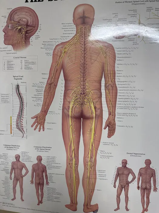 Dr Jay M Cohen Picture 10