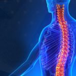 CMP Spine and Wellness Center