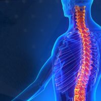CMP Spine and Wellness Center ico