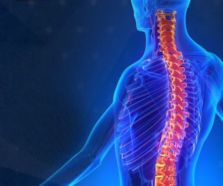 CMP Spine and Wellness Center