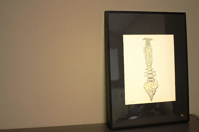 PRINCETON FAMILY CHIROPRACTIC Picture 1