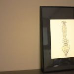 PRINCETON FAMILY CHIROPRACTIC