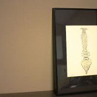 PRINCETON FAMILY CHIROPRACTIC ico