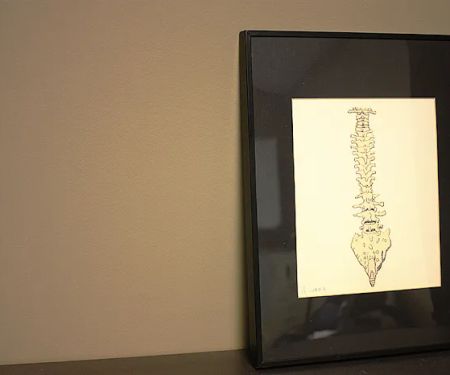 PRINCETON FAMILY CHIROPRACTIC