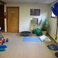 Chiropractic Whole Health ico