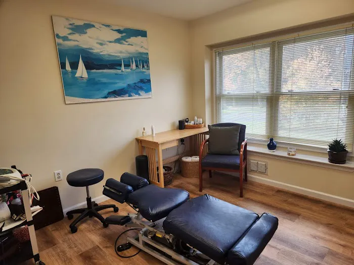 Chiropractic Naturally, PC Picture 3