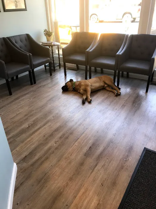 Wyckoff Chiropractic and Wellness Picture 1