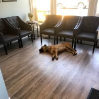 Wyckoff Chiropractic and Wellness ico