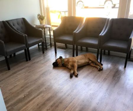 Wyckoff Chiropractic and Wellness