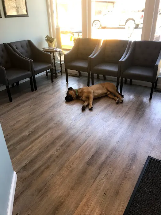 Wyckoff Chiropractic and Wellness Picture 8