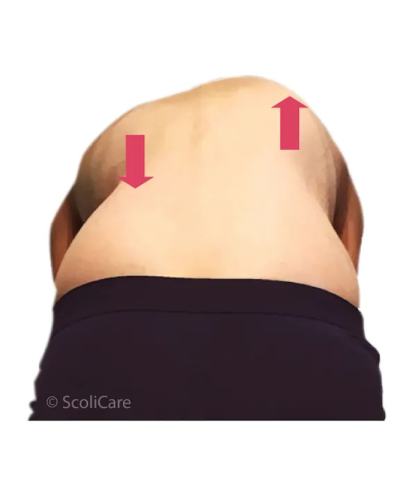 Dr. Lawrence Wood Picture 8