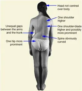 Community Chiropractic Center Picture 7