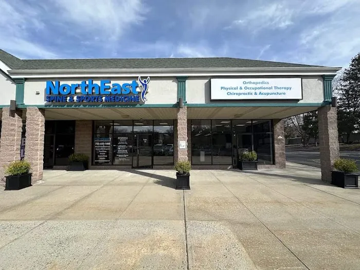 NorthEast Spine & Sports Medicine Picture 1